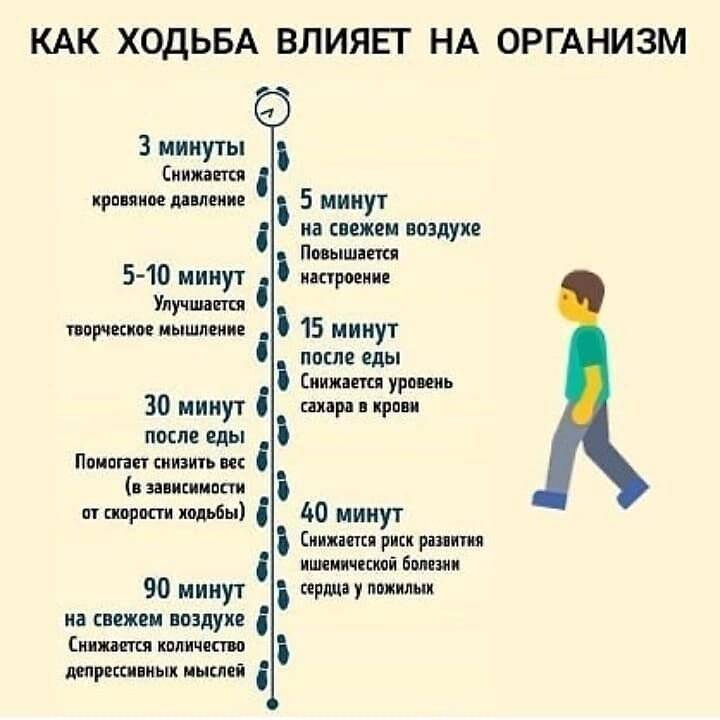 компания Whieda